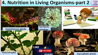 Nutrition in living organismspart 2  STD  7 th Science [upl. by Gean562]