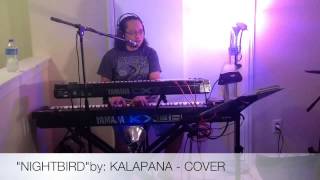 quotNIGHTBIRDquot by KALAPANA  COVER [upl. by Tedra964]