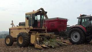 Hobbyist de Prol VS Landb Soenen  Westouter  New Holland 2205  MF 8110  MF 8220  MF 6485 [upl. by Adnilra]