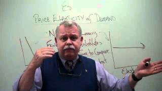 IGCSE Economics Microeconomics  Price elasticity of demand  Types of elasticities [upl. by Joni925]