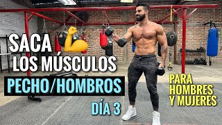 Rutina de PECHO Y HOMBROS 20 Min Ejercicios para SACAR LOS MUSCULOS [upl. by Alarice372]