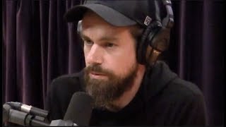 When Twitter CEO Realized It Was Out of His Control  Joe Rogan [upl. by Nivlak126]