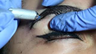 Cejas pelo a pelo 3d [upl. by Tuck]