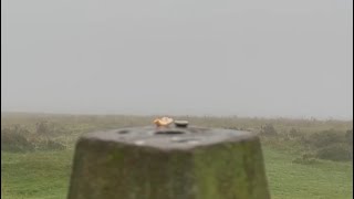 Unbelievable 360 views from Beacon Hill Trig Point on the Quantock Hills 🤣 short [upl. by Atima]