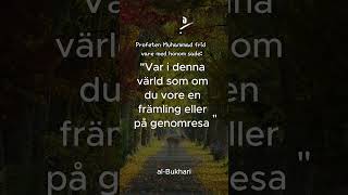 Hadith på svenska hadithpåsvenska [upl. by Kina490]