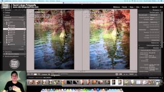 Tutorial Lightroom 010  Vistas [upl. by Ojillib]