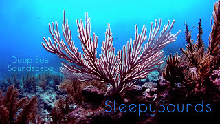 Deep Sea Soundscape – 9 hours of underwater ambience – Deep Ocean Sleep Sounds [upl. by Bernie]