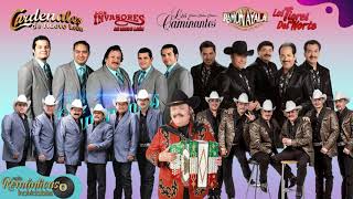 Los Caminantes vs Los Tigres Del Norte Ramon Ayala Los Cadetes De Linares Los Cardenales Mix [upl. by Joan]