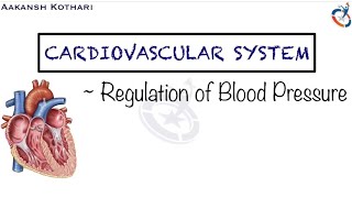 Regulation of Blood Pressure  Baroreceptor and Chemoreceptor  Cardiovascular System Physiology [upl. by Llednil11]