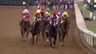 2015 Breeders Cup 14 Hands Winery Juvenile Fillies [upl. by Delmor]