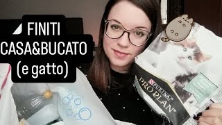 🫧🧽 FINITI CASAampBUCATO e gatto🐱 🫧 [upl. by Amorette]