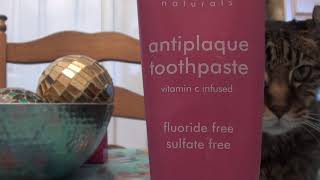 DR BRITE TOOTHPASTE ANTI PLAQUE FLOURIDE FREE BERRYLICIOUS REVIEW [upl. by Lahey]