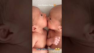 The precious moments of newborn twins babies 🥰❤️ [upl. by Enamart198]