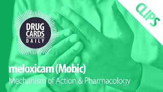 Meloxicam Mechanism of Action amp Pharmacology  Drug Cards Daily Clips [upl. by Amla]