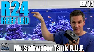 R24 REEF LED from Current USA  Mr Saltwater Tank  Raw Uncut and First Impressions [upl. by Adiam]