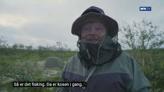 Her lukter det fesk │ TRAILER │ NRK TV [upl. by Uriel]