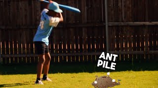 Destroying Ant Piles In My Yard [upl. by Ihana672]