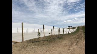 Agricultural WindBreak Netting [upl. by Otilegna]