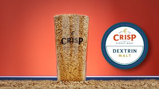 Crisp Malt  Dextrin Malt  Malt Tasting Video [upl. by Annadroj]