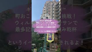 宝塚って歌劇団以外に何があるの？ギネス記録に挑戦編 宝塚市 宝塚歌劇団 末広公園 ウィルキルソン shorts [upl. by Samtsirhc]