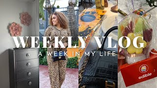 WEEKLY VLOG MIAMI TRIP NO KIDS  DINNER DATE  HOME DECOR  DETOX amp SHOPPING  WatchCrissyWork [upl. by Rydder]