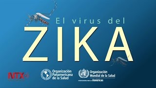 Organización Mundial de la Salud declara emergencia por Zika [upl. by Cate]