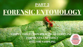 Forensic Entomology  Sample collection  Equipment and tools used  UGC NET Forensic science [upl. by Jean-Claude]