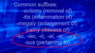 Med Term 2 Roots prefixes suffixes [upl. by Freida]