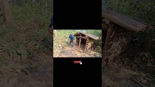 Membuat rumah cabin kayu bushcraft solocampingsurvival Rumahcabinkayu [upl. by Goodyear]