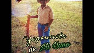 JORGE GUERRERO 2017  YAGRUMITO DE MI LLANO [upl. by Astri]