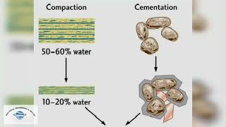 Compaction and Cementation [upl. by Phedra]