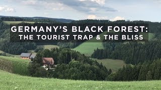 Germany’s Black Forest The Tourist Trap and the Bliss [upl. by Iredale903]