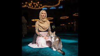 Hagia Sophia in Istanbul the perfect home for a CAT [upl. by Kcirde]