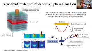 Programmable networks of excitonpolariton condensates [upl. by Agnella]