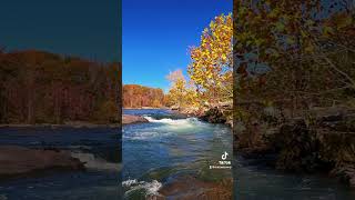 Waterfalls amp Autumn Leaves at Ohiopyle State Park [upl. by Amitaf572]