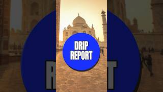 Y’all remember drip report dripreport midnitecult [upl. by Yemiaj]