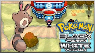 How to get Sentret in Pokemon Black and White [upl. by Assirehc]