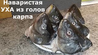 ТАКОЙ ВКУСНОЙ УХИ ВЫ ЕЩЕ 100 НЕ ПРОБОВАЛИ 🐟🐟🐟 [upl. by Nabal]