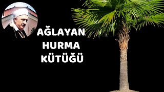 AĞLAYAN HURMA KÜTÜĞÜ [upl. by Ellerrehc]