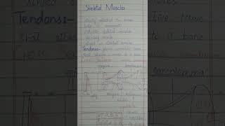 skeletal muscles  skeletal muscle  ultrastructure of myofilament  class 12 biology urdu hindi [upl. by Felix]