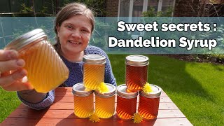 Foraging Dandelions for Syrup amp Jelly [upl. by Dambro679]