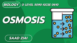 OSMOSIS  IGCSE Biology  O Level  Saad Ziai  SLATE [upl. by Gosnell406]