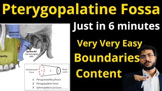 Pterygopalatine fossa  boundaries  content  communications pterygopalatinefossa pterygopalatine [upl. by Eniawd]