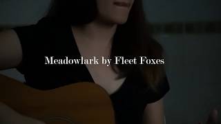 Meadowlark by Fleet Foxes Cover [upl. by Dex]