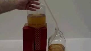 How to Rack One Gallon Of Mead Honey Wine [upl. by Labotsirhc116]