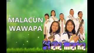 Kalamarka  Malacun Wawapa LETRA [upl. by Trust]