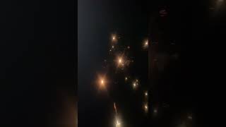 Texas Rattler 16 shots firework 🐍 fireworks shorts fireworksmania [upl. by Alien]