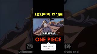 사실상 80억 현상수배범 one piece  8 billion wanted criminal [upl. by Arikaahs]