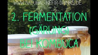 😋❤️ Zweitfermentation  Zweite Fermentation 2 Gärung bei Kombucha [upl. by Alios267]