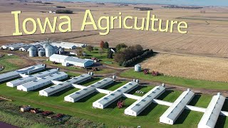 How Iowa Farmers Make 264 Billion A Year From 85300 Farms  American Farming Documentary [upl. by Erasmo]